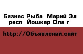 Бизнес Рыба. Марий Эл респ.,Йошкар-Ола г.